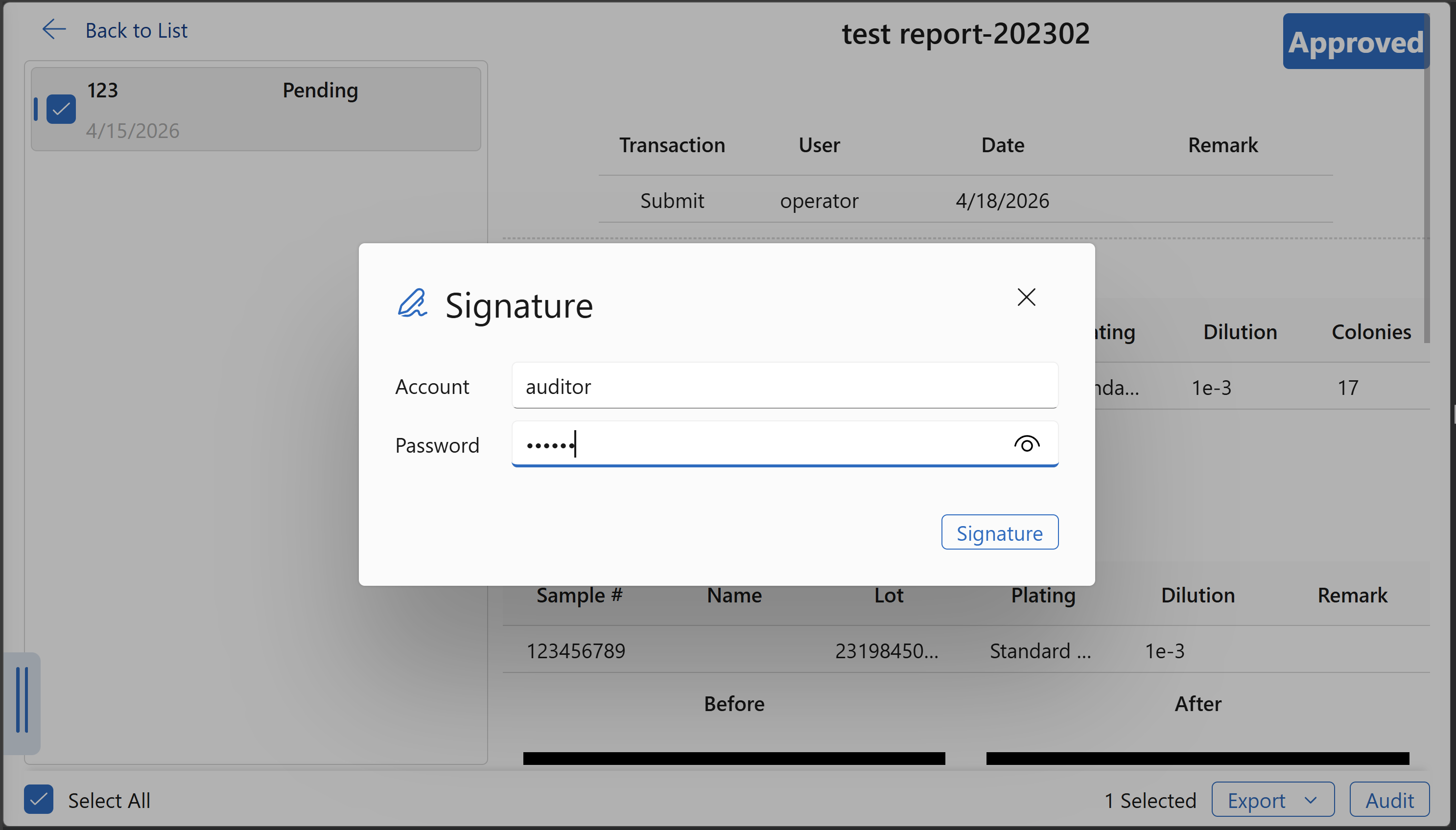 Auditor signature